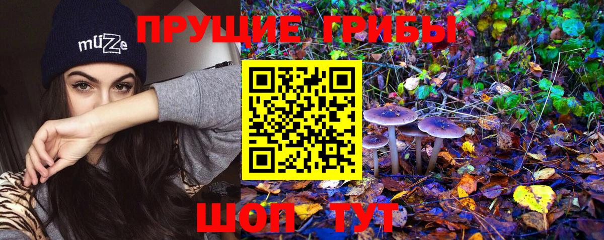 Псилоцибиновые грибы MAGIC MUSHROOMS  Вход с VPN  Галлюциногенные грибы Psilocybine cubensis  Вязьма 